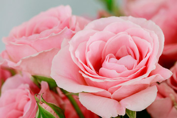 Beautiful pink roses in big bouquet.