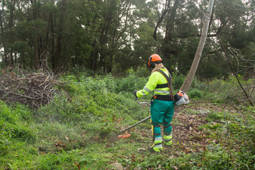 Naklejka na ściany i meble woman working in forest forest with brushcutter or chainsaw