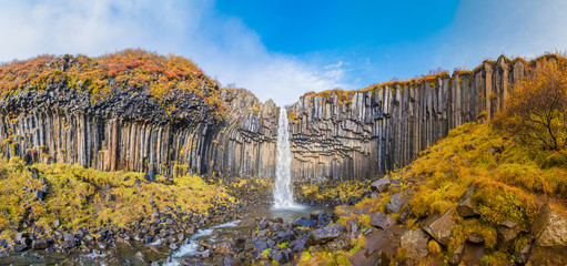 Svartifoss waterfall panorama of black basalt columns between autumn colored landscape