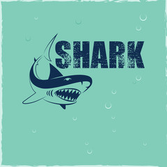 Turquoise background with a shark