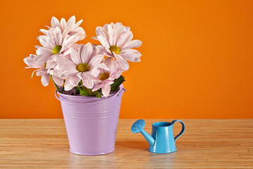 Pink daisies in purple bucket on orange background. Blue watering can near a bouquet of flowers on a wooden board.