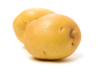 New potato isolated on white background