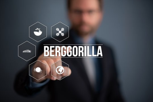 Berggorilla