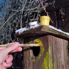 Paint finish on the wooden birdhouse