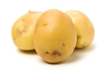 New potato isolated on white background