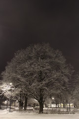 Зимний вечер