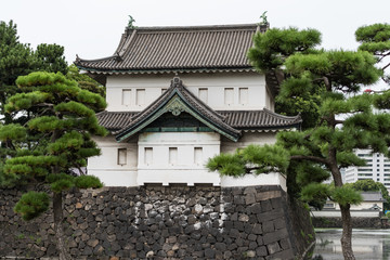 Fototapeta na wymiar Tokyo Imperial Palace building facade with beautiful pine trees