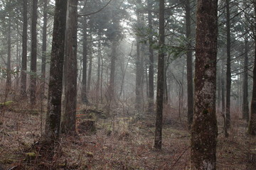 The winter is so cold; I am really looking forward to it warming up