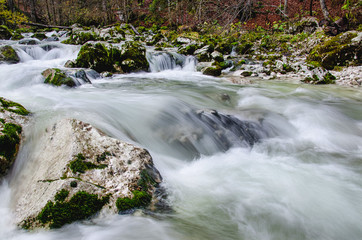 Fototapeta na wymiar Beautiful white wild river, Sava with stones Slovenia