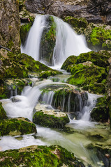 Fototapeta premium Beautiful white wild river, Sava with stones Slovenia