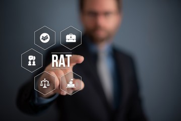 Rat
