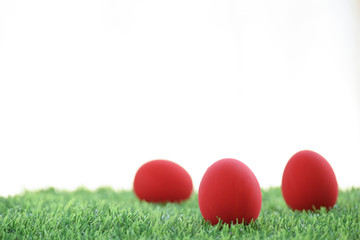 red easter egg on lawn green grass artificial with blank white background