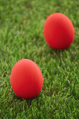 red easter egg on lawn green grass artificial, image of morning springtime concept