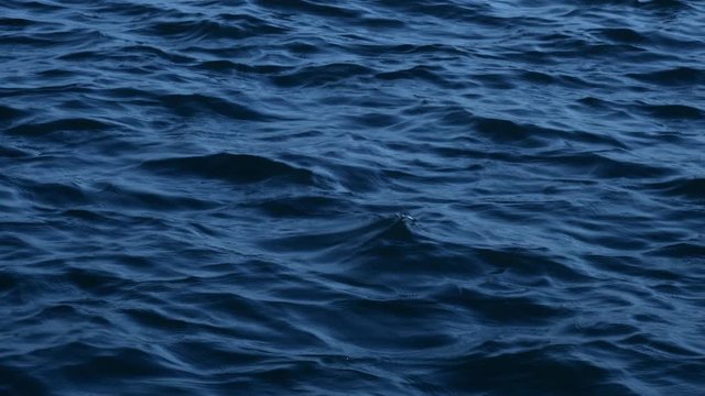 Abstract shot of moving waves surface in deep blue sea waters