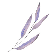 plant growing, geometric leaf illustration isolated on white background, file leaf illustration isolated on white background