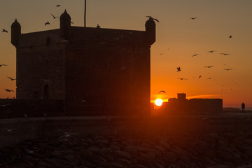 Fototapeta premium Morocco