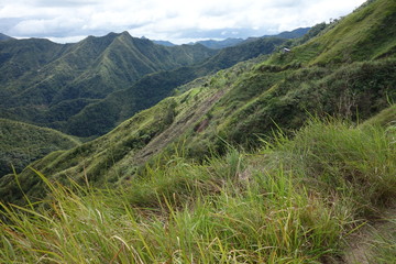 Green fields of Phillipines © Ewa