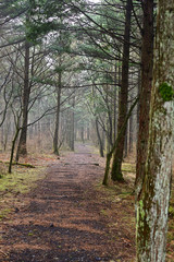 Obraz premium I love this relaxing atmosphere