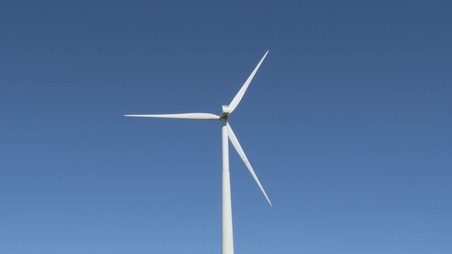 Wind turbine of renewable energy moving the blades, back view