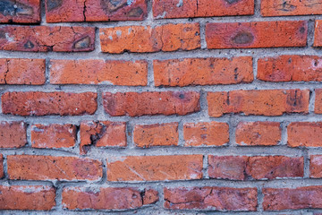 Fototapeta premium An old rusty red brick wall, typical of old European cities, is used for design solutions