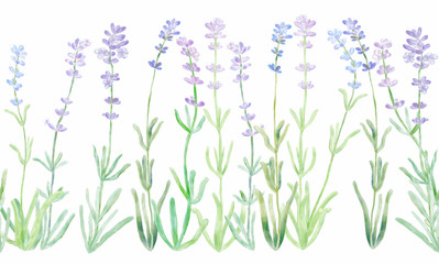 Lavender seamless border. Can be used for fabrics and printed materials. Digital watercolor illustration.