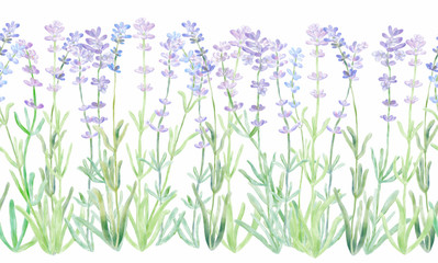 Fototapeta na wymiar Lavender seamless border. Can be used for fabrics and printed materials. Digital watercolor illustration.