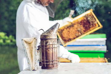Fototapeta The beekeeper holds a honey cell with bees in his hands. Beekeeper inspecting honeycomb frame at apiary.  obraz