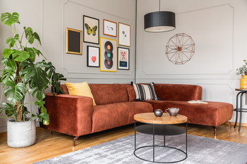 Eclectic living room interior with comfortable velvet corner sofa with pillows