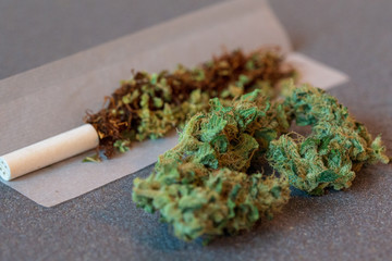 Joint placed in back of cannabis flower