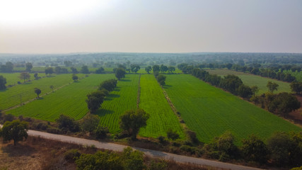 Fototapeta na wymiar Arial top view of agriculture field 