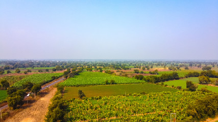Arial top view of agriculture field 
