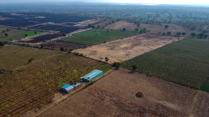 Arial top view of agriculture field 