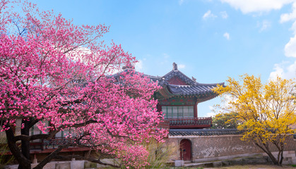 Changdeokgung Palace in Spring South Korea