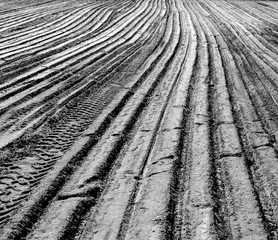 The sandy surface of the construction site is leveled with bulldozers, scrapers and  earthmoving equipment