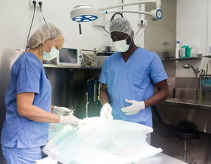 Dog on the operating table in a veterinary clinic