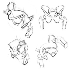 Pelvis in different angles illustration