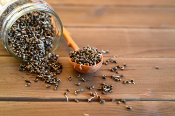 sprouted food hemp seeds in a wooden spoon and glass jar on a wooden background