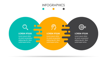 Vector infographic template