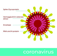 Schematic vector illustration of chinese coronavirus construction. cross-section