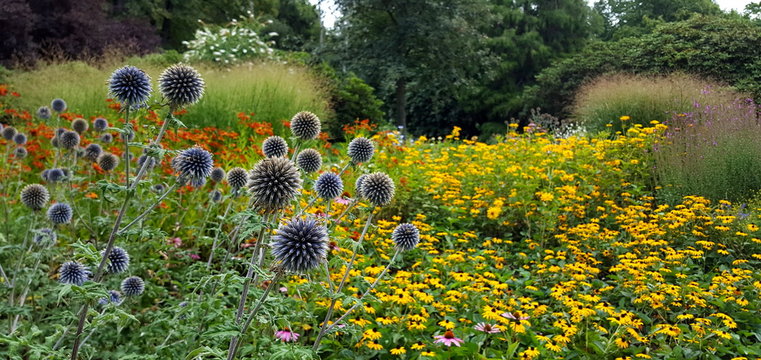 buntes gro&szlig;es Staudenbeet im Sommer