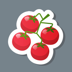 fresh red crerry tomato branch sticker tasty vegetable icon healthy food concept vector illustration