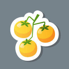 fresh yellow crerry tomato branch sticker tasty vegetable icon healthy food concept vector illustration