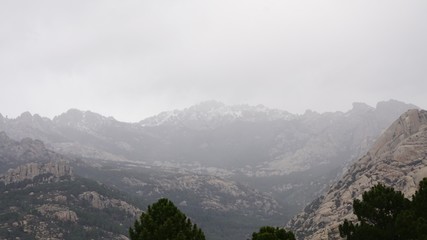 niebla