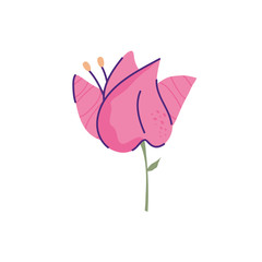 cute flower nature isolated icon vector illustration design