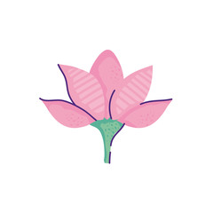 cute flower lotus nature isolated icon vector illustration design