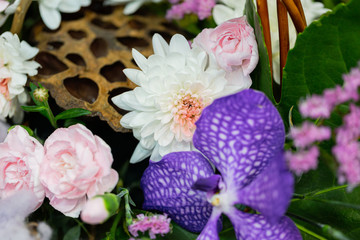 Floral concept close up background. Flower shop and market.