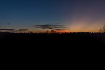 Sonnenaufgang im Wald