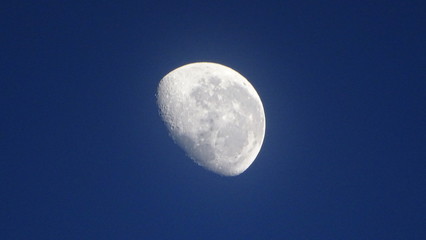 luna temprano a la mañana © roberto