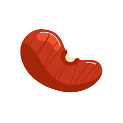 bean seed organic isolated icon vector illustration design