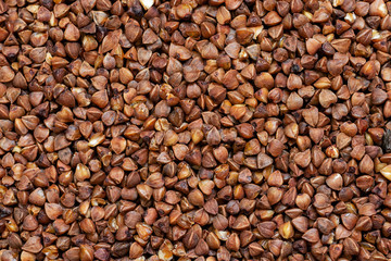 raw buckwheat on a wooden background